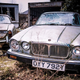 Illustration for article titled This Jaguar Graveyard Is Hauntingly Beautiful